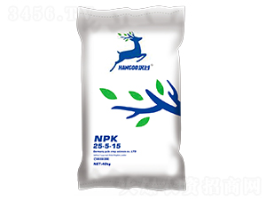 ��ጷ���25-5-15-�h��-�՘�����