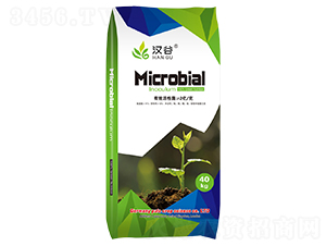 2�|΢�������-�h��-�՘�����