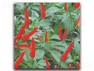 ����189-�����N��-�|������