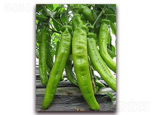 ����һ̖(h��o)-�����N��-�|������