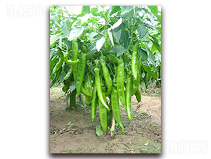 �|������-�����N��-�|������