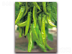 ����һ̖-�����N��-�|������