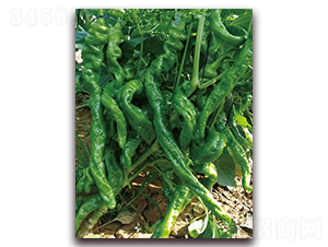 ����806-�����N��-�|������