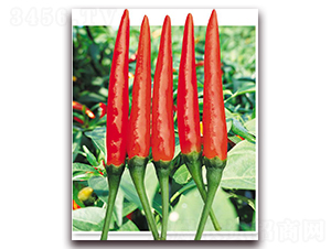 �����G-�����N��-�|������