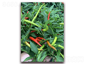 ����116-�����N��-�|������