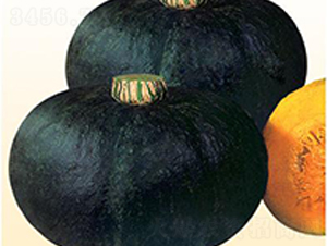 �ڹ��Ϲ�-�ϹϷN��-΢�ȷN�I(y��)