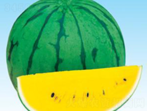 С�mB1-���ϷN��-΢�ȷN�I(y��)