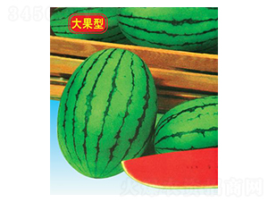 ����紺�t��-���ϷN��-΢�ȷN�I(y��)