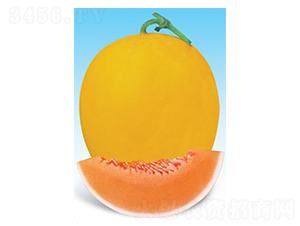 �t����һ̖-��ϷN��-΢�ȷN�I(y��)