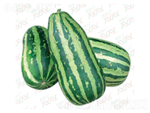 ������Ƥ�ҹ�-��ϷN��-΢�ȷN�I(y��)