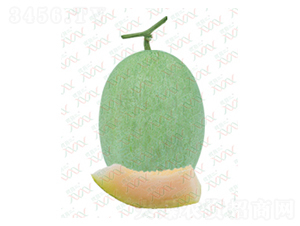 ��M-16002-��ϷN��-΢�ȷN�I(y��)