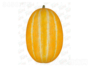 ʮ�l���S���-��ϷN��-΢�ȷN�I(y��)