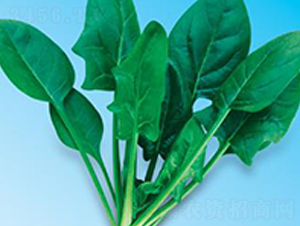 �G��(y��u)��6̖-���˷N��-΢�ȷN�I(y��)