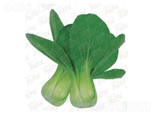 ����-��˷N��-΢�ȷN�I(y��)