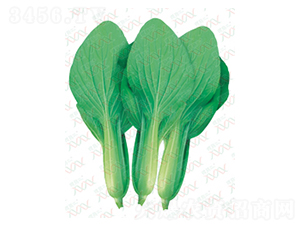 һ�N�ľ�-��˷N��-΢�ȷN�I(y��)