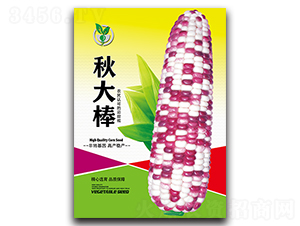 ����-���׷N��-���ѩ��