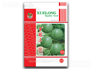 ������-��ϷN��-���ѩ��