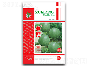 ����-��ϷN��-���ѩ��