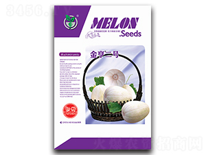 ����̖-��ϷN��-���ѩ��