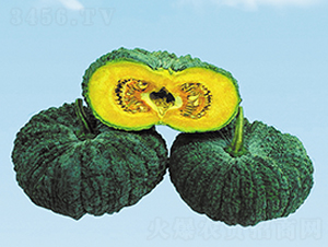 �]����-�ϹϷN��-����N��