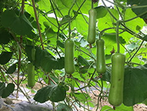 �G̫�ɶ�̖(h��o)-�S�ϷN��-����N��