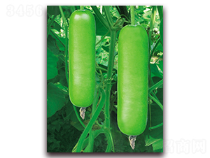 �G̩��1̖(h��o)-�S�ϷN��-����N��