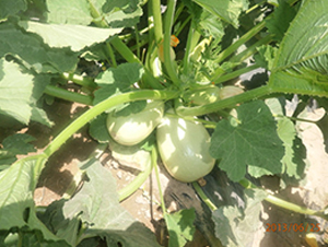 ���18̖-�����J�N��-����r(n��ng)�I(y��)