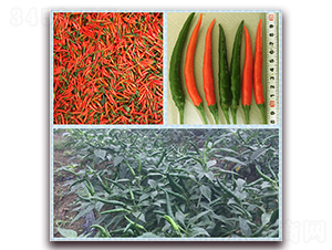 ������̖(h��o)-�����N��-����N��