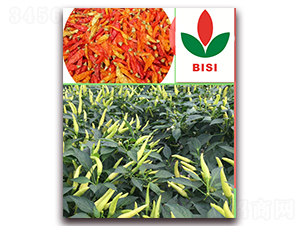 ������̖(h��o)-�����N��-����N��