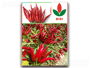 ������̖(h��o)-�����N��-����N��