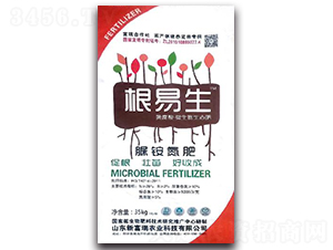 ���@����-������-�¸���