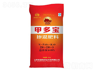 �������20-20-5-�׶���-�¸���