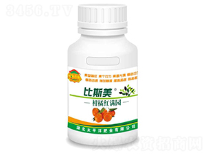 ���ټt�M�@-��˹��-�V����