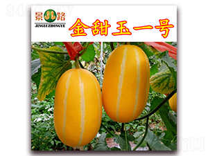 ������һ̖-��Ƥ��ϷN��-��·�N�I(y��)