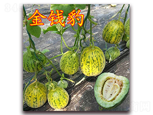 ��·���X��-��Ƥ��ϷN��-��·�N�I(y��)