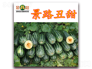 ��·����-��Ƥ��ϷN��-��·�N�I(y��)