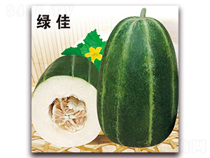 ��·�G��-��Ƥ��ϷN��-��·�N�I(y��)