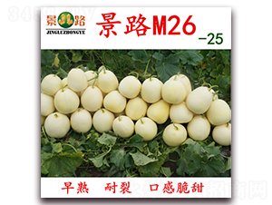 M26-25-��Ƥ��ϷN��-��·�N�I(y��)