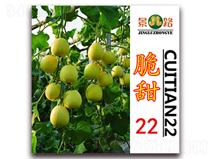 ��·����22-��Ƥ��ϷN��-��·�N�I(y��)