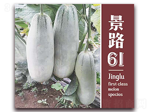 ��·61-��Ƥ��ϷN��-��·�N�I(y��)