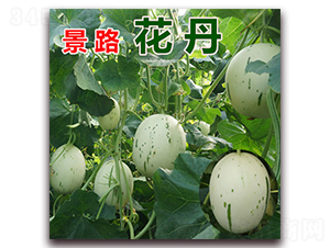 ��·����-��Ƥ��ϷN��-��·�N�I(y��)