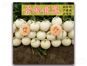 ��·�y��-��Ƥ��ϷN��-��·�N�I(y��)