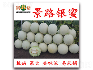 ��·�y��-��Ƥ��ϷN��-��·�N�I(y��)