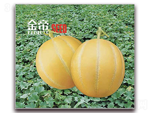 ���-��Ƥ��ϷN��-��·�N�I(y��)