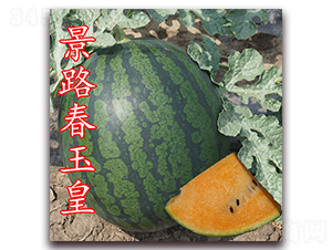 ��·�����-���ϷN��-��·�N�I(y��)