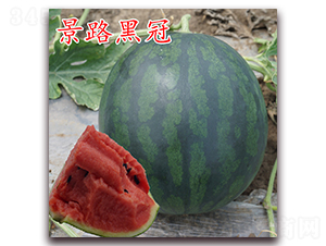 ��·�ڹ�-���ϷN��-��·�N�I(y��)