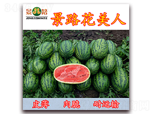 ��·������-���ϷN��-��·�N�I(y��)