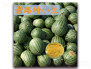 ��·��С�m-���ϷN��-��·�N�I(y��)