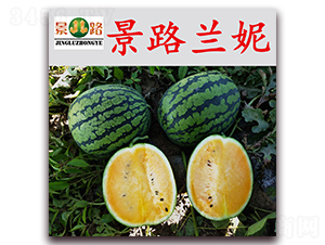 ��·�m��-���ϷN��-��·�N�I(y��)