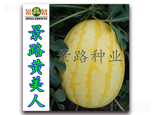 ��·�S����-���ϷN��-��·�N�I(y��)